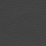 Τεχνόδερμα Γκρι