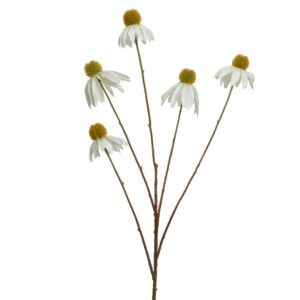 ΜΑΡΓΑΡΙΤΑ ΛΕΥΚΟ Beauty Home