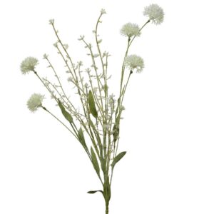 ΑΛΙΟΥΜ ΜΙΝΙ Beauty Home